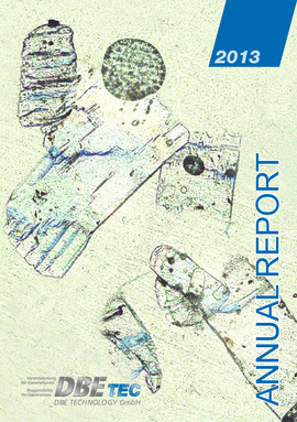 Cover page BGE TEC Annual Report 2013